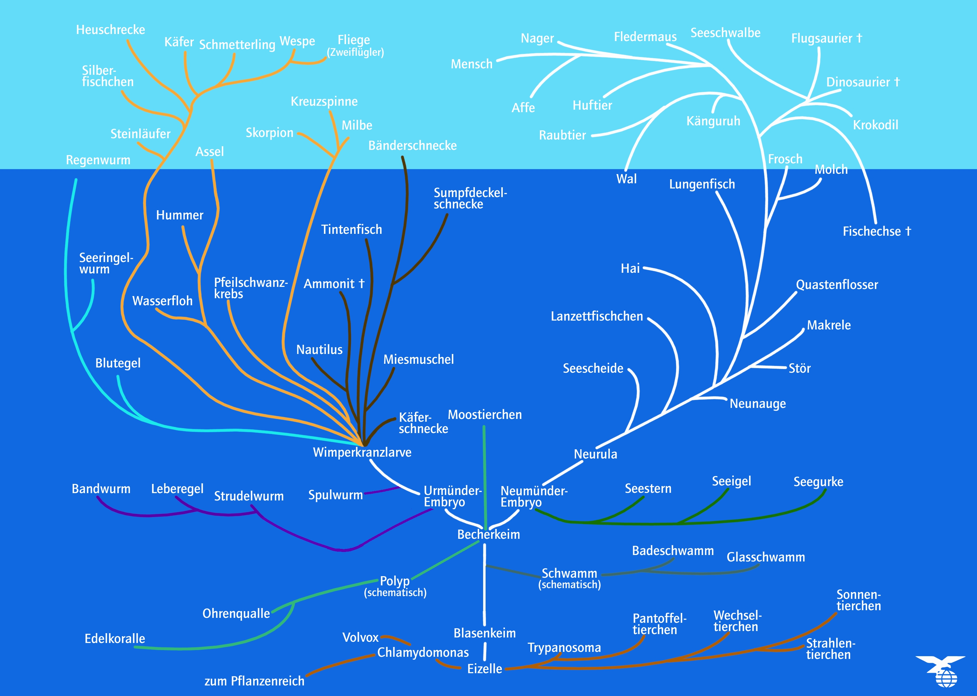 Stammbusch d.Tierreichs, kompletter Kit