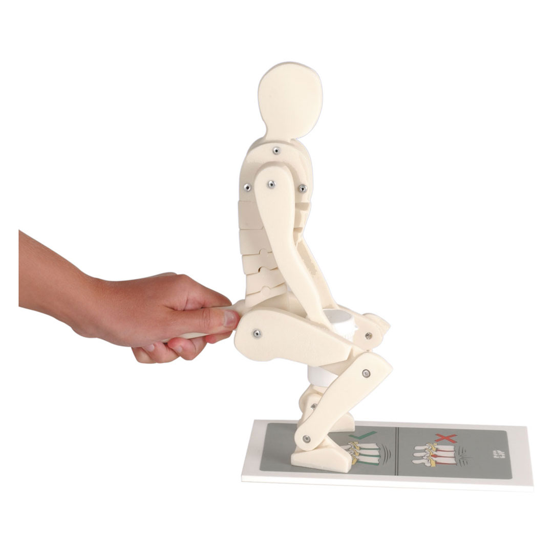 3B SCIENTIFIC Figur, Richtiges Heben (W19007)