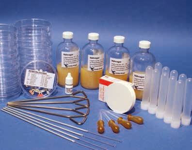 Bakterienzucht, Schülerkit für Gruppenarbeit