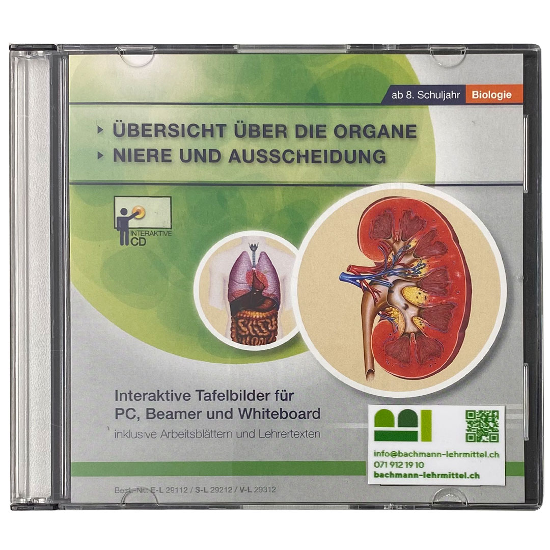 Interaktiven Tafelbilder Übersicht der Organe, Niere und Ausscheidung