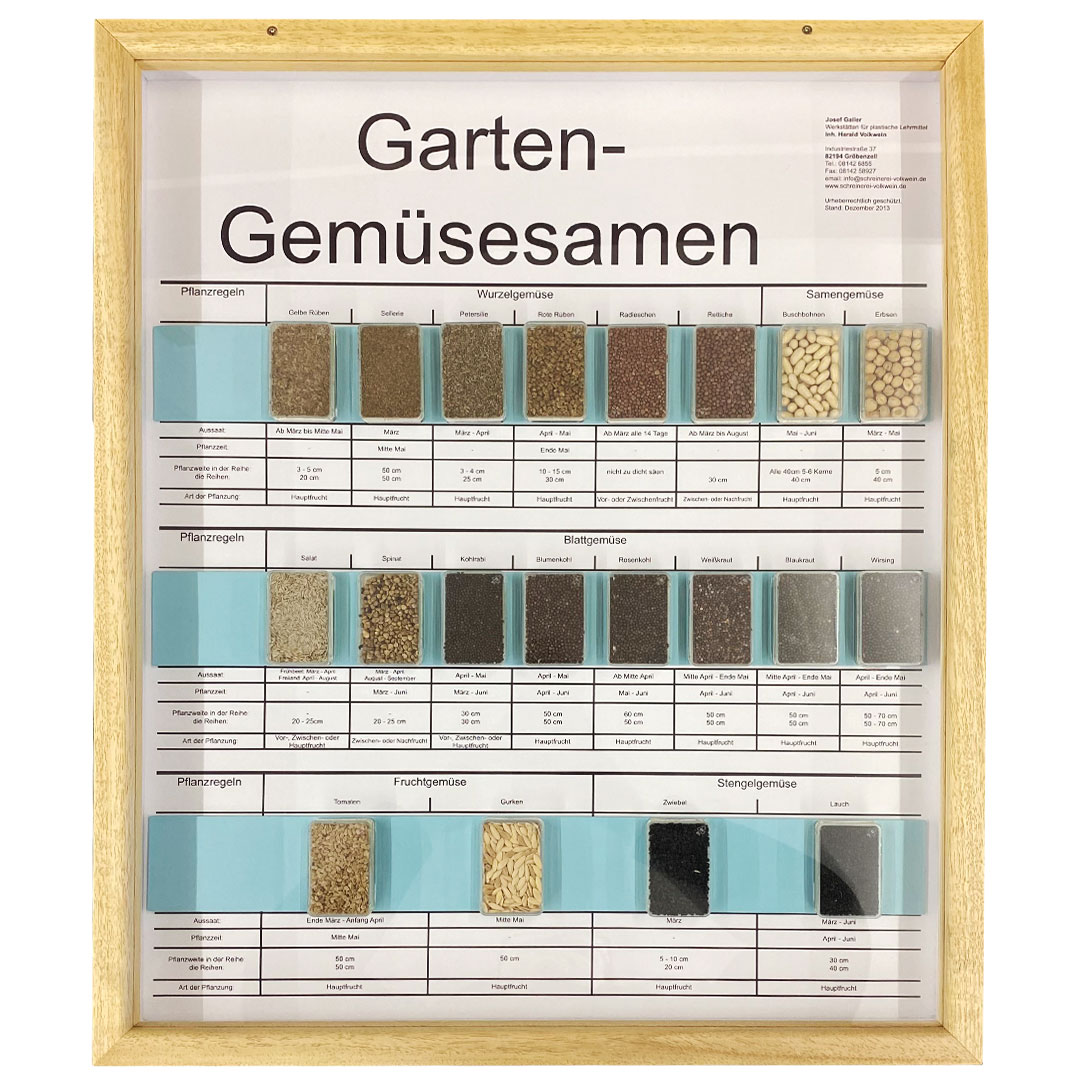 Schaukasten Garten-Gemüsesamen, im Holzrahmen 50x60 cm