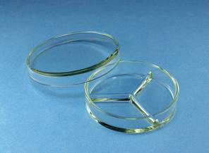 Petrischalen D=10cm, dreigeteilte Unterschale