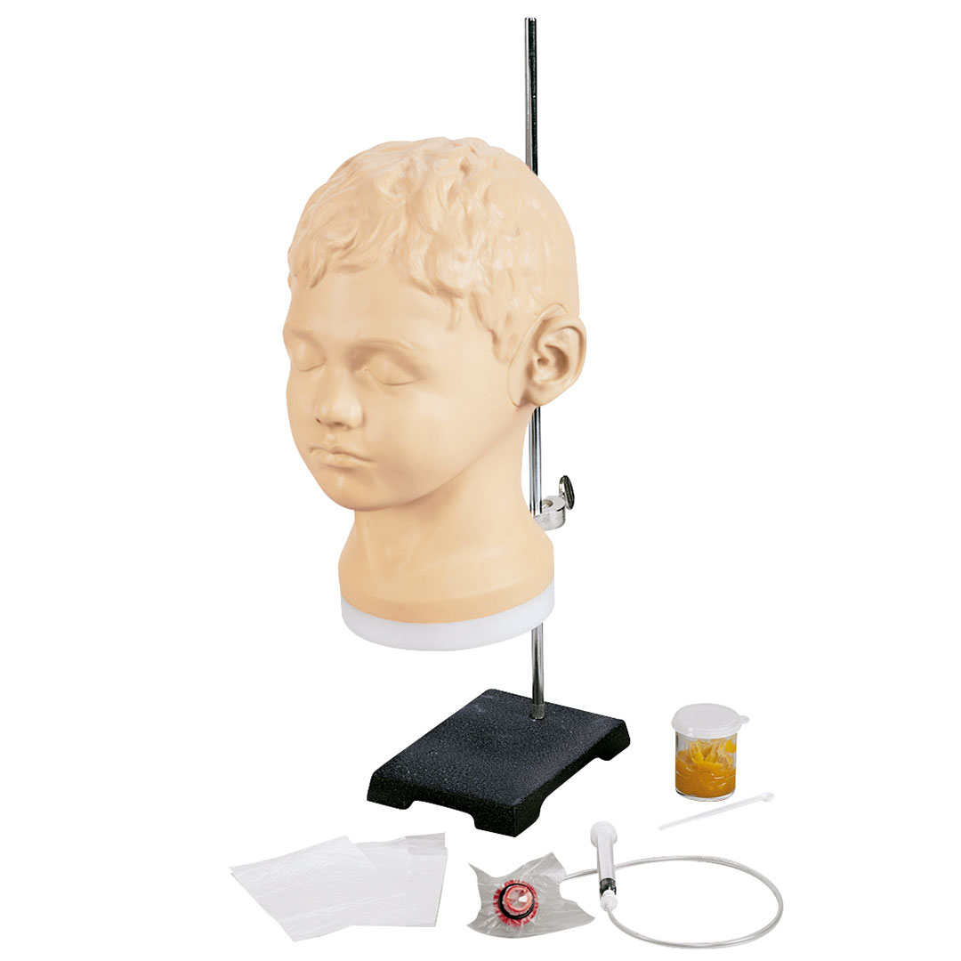 3B SCIENTIFIC Ohrentrainer für die Diagnose & Untersuchung