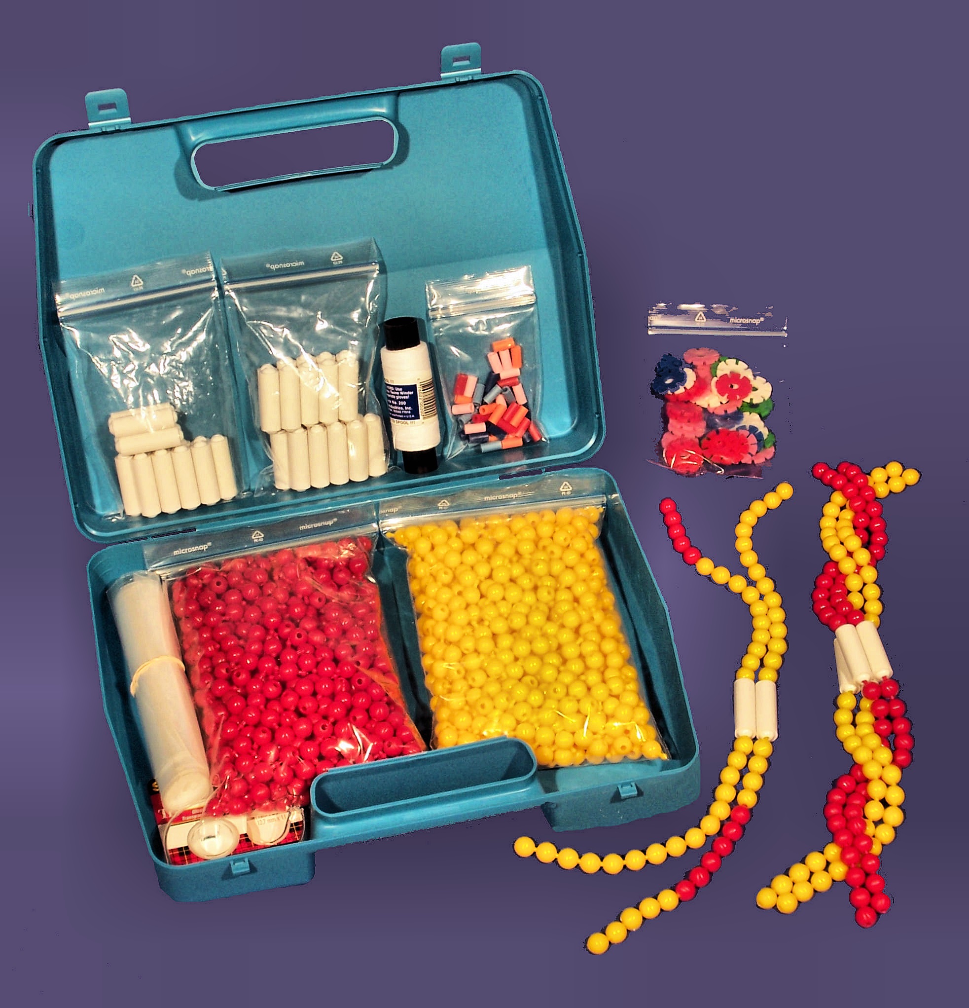 Chromosomen-Simulation grosser Kit