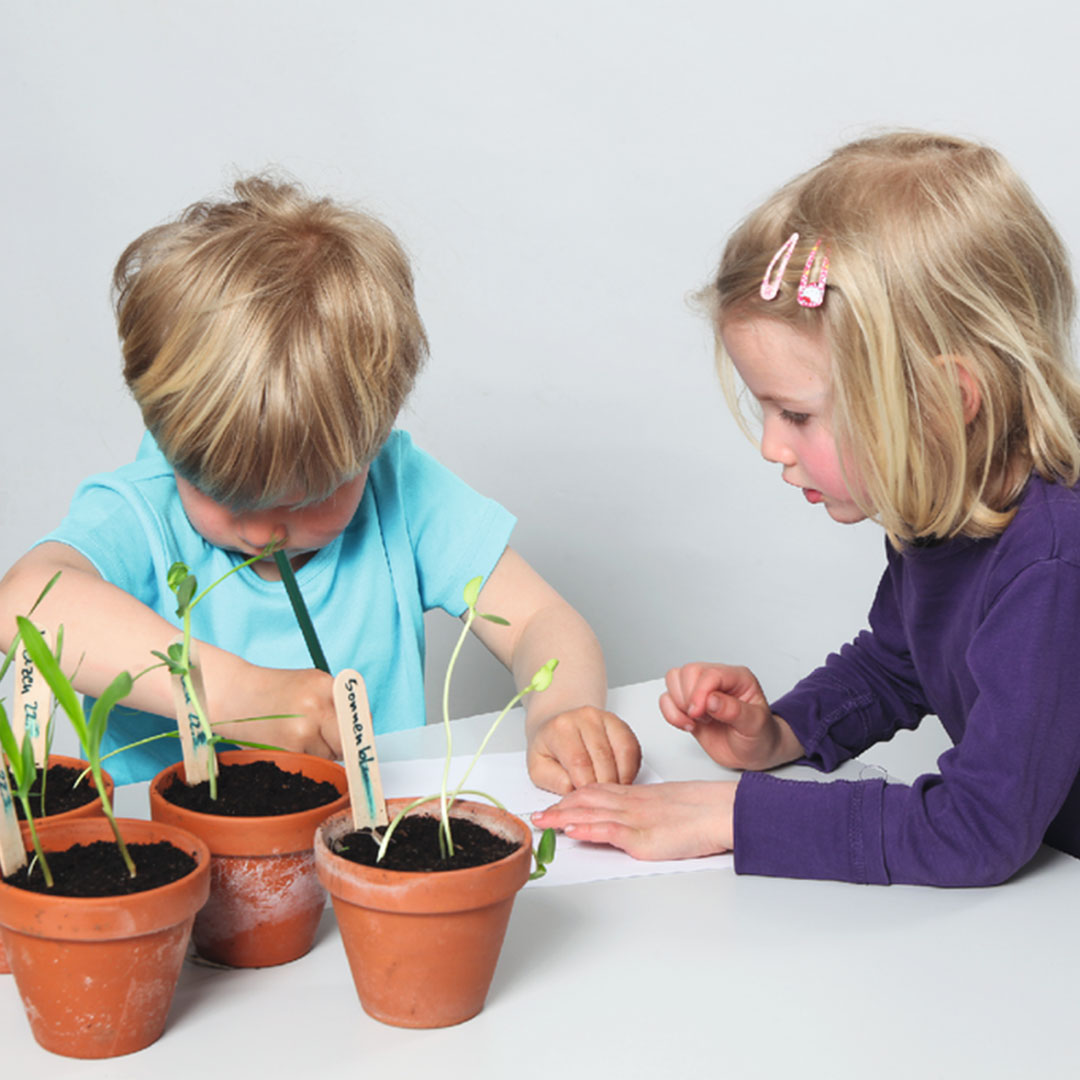 Natur und Umwelt, Anja und Leon experimentieren