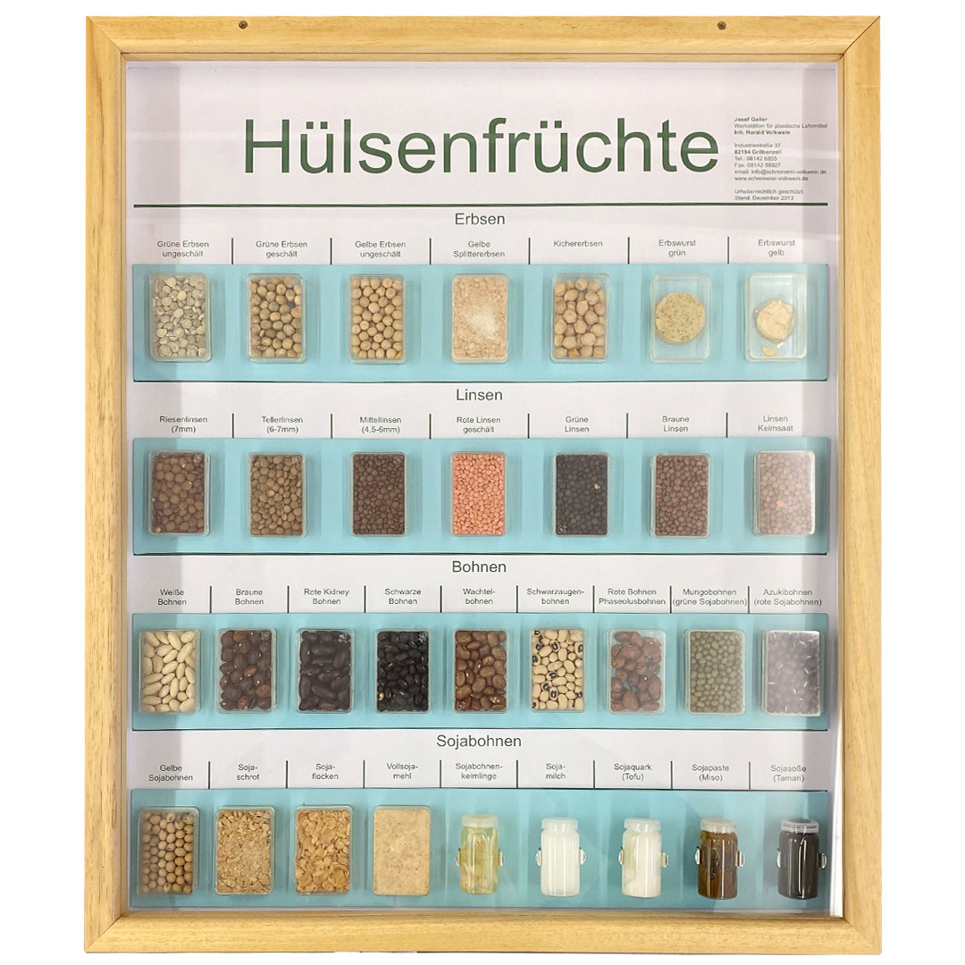 Schaukasten Hülsenfrüchte, im Holzrahmen 50x60 cm