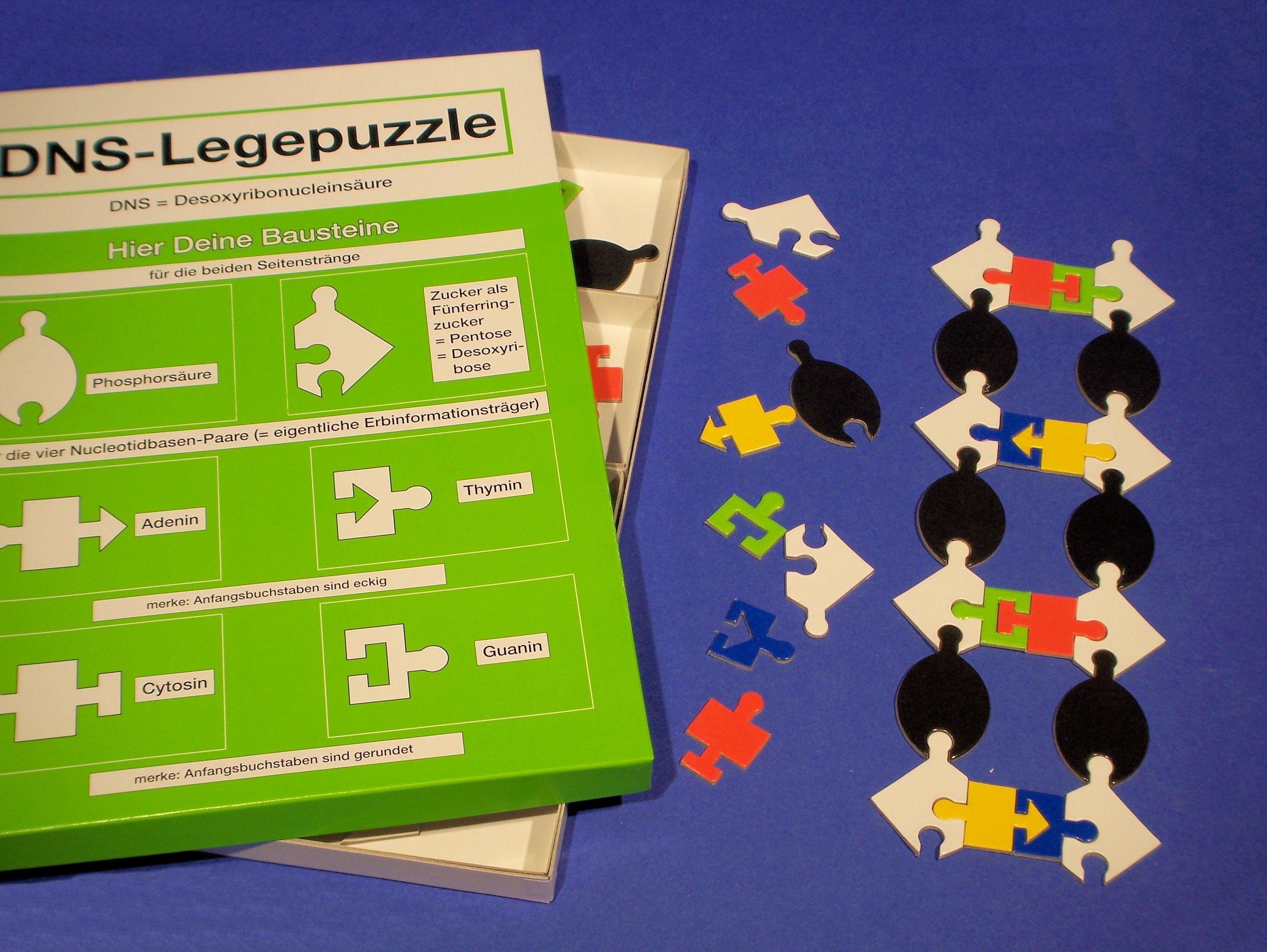 DNS Lege-Puzzle