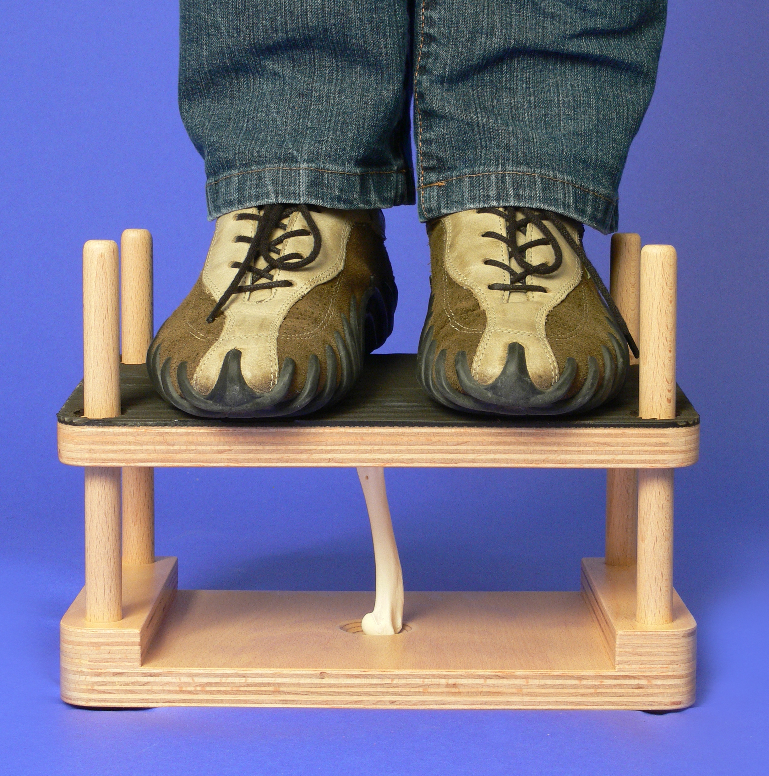 Belastbarkeit von Knochen