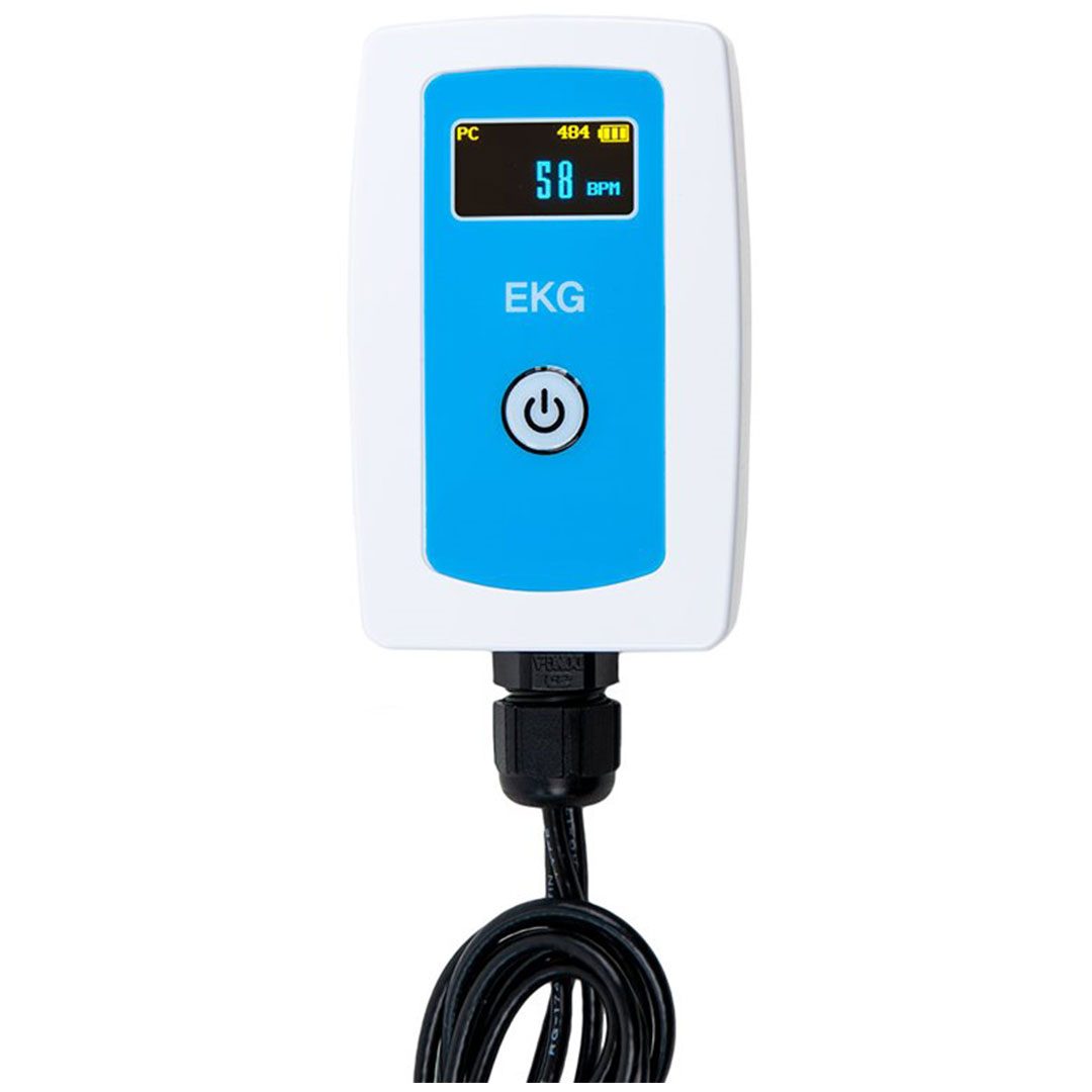 WLD Sensor, EKG (Herzrhythmus)