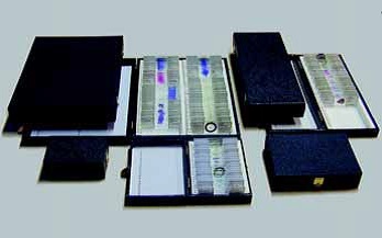 Aufbewahrungskasten für 12 Präparate