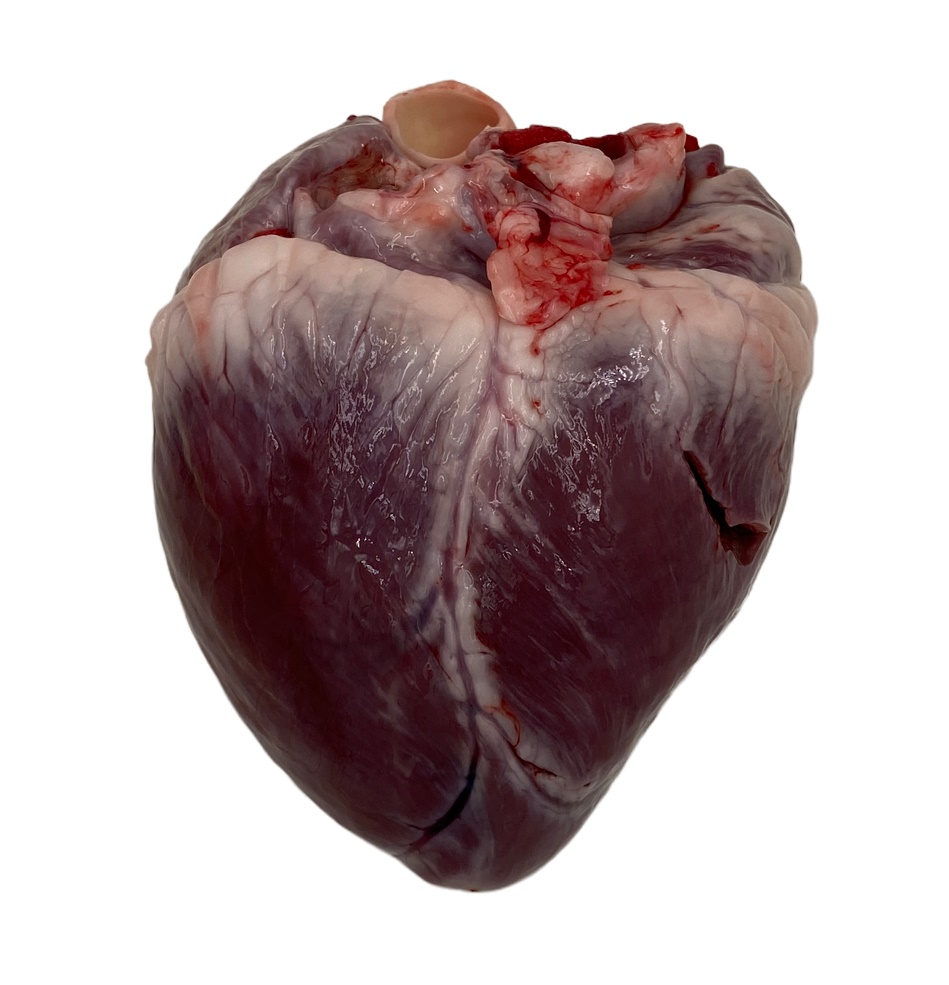 Herz vom Schwein