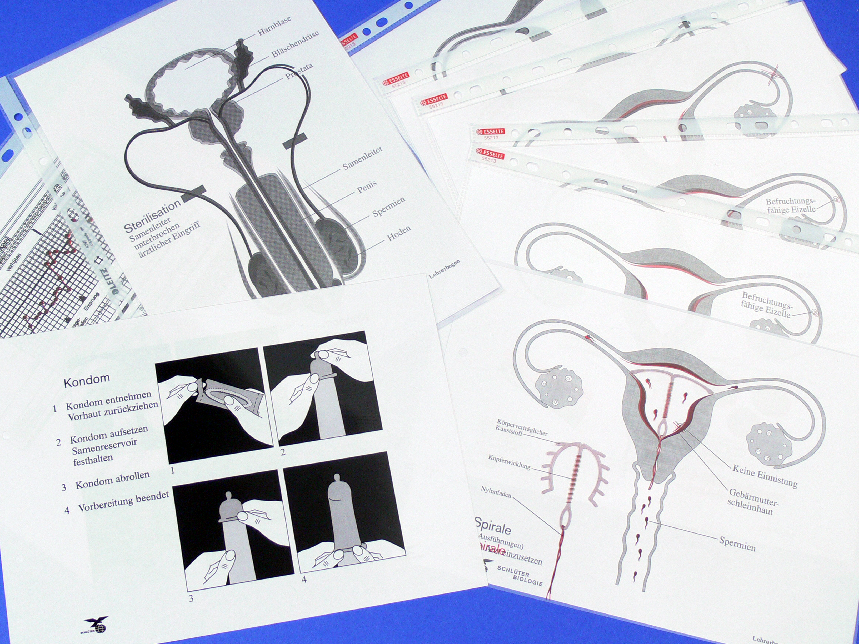 Kit Empfängnisverhütung Koffer + Mappe