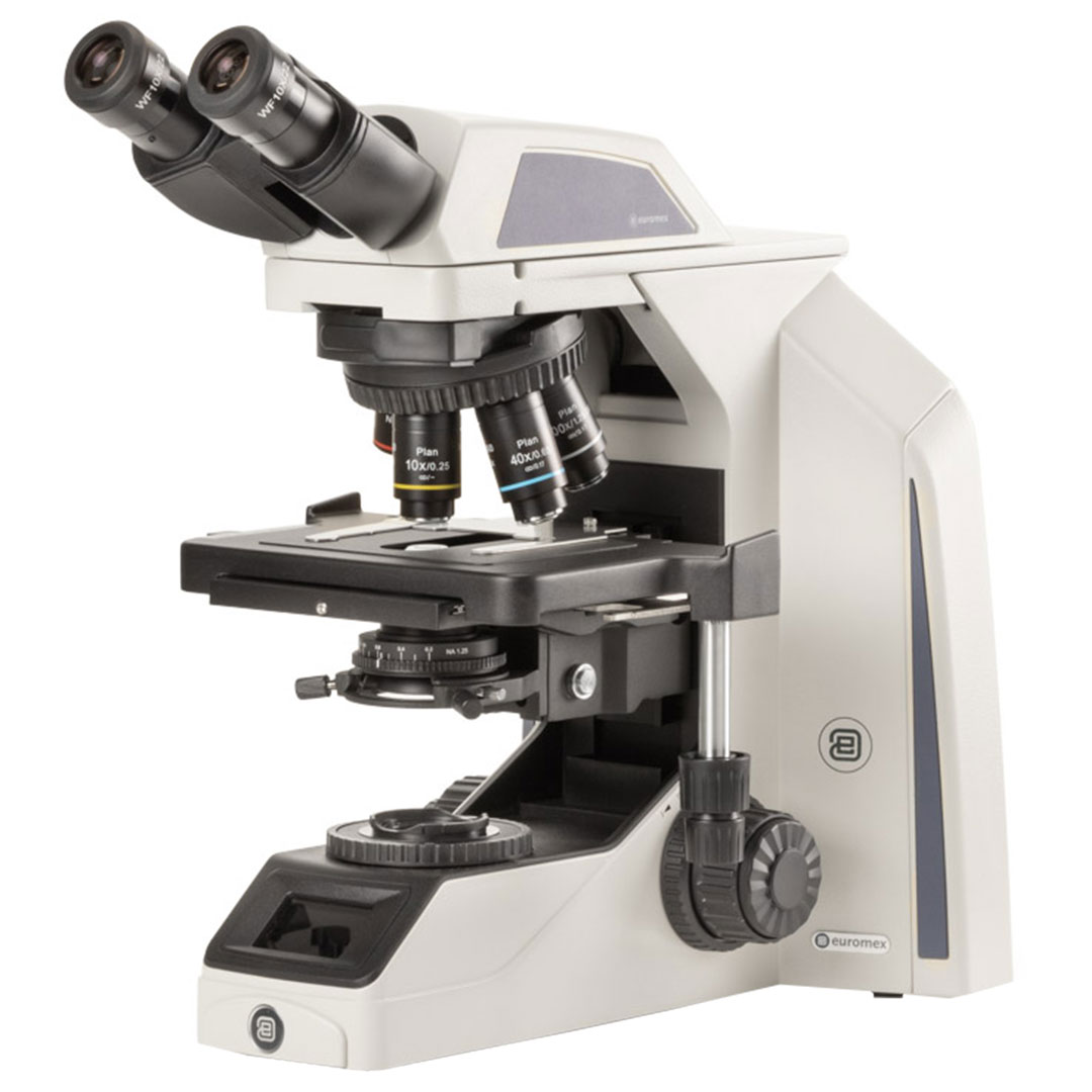 EUROMEX Mikroskop Achios X Observer AX.1152-PLi, binokular, 4x, 10x, S40x, S100x