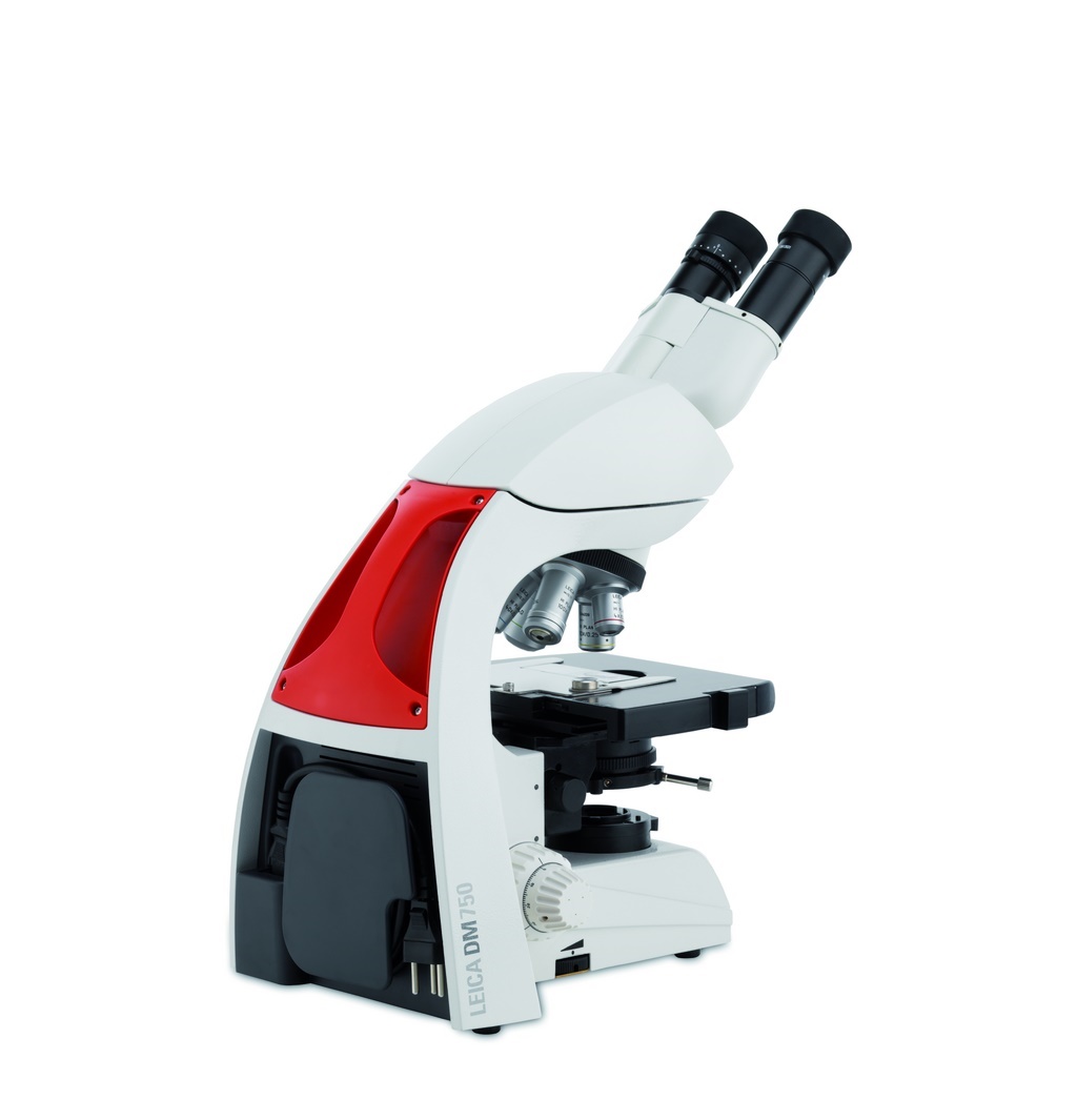 LEICA Mikroskop Binokular DM750, 4x 10x, 40x, 100x mit Öl, mit Zeiger- und Fokussierokular