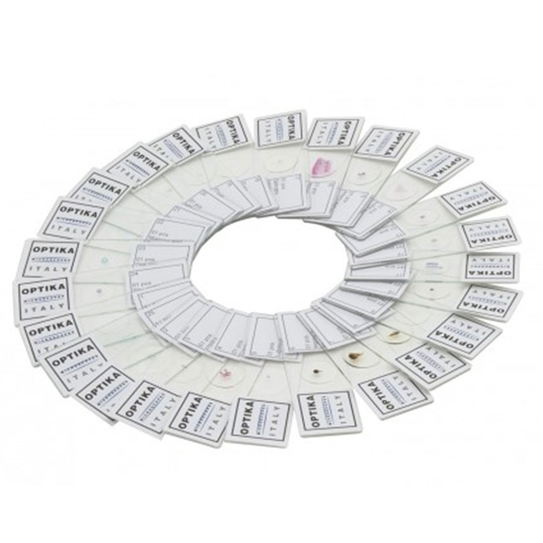 OPTIKA Mikropräparate Serie V, Histologie, 25 Stk