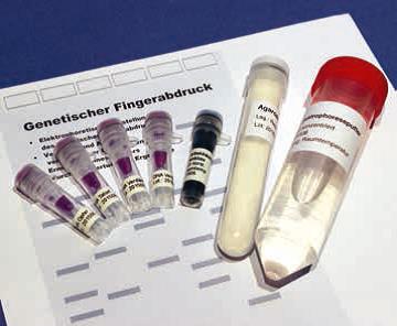 Genetischer Fingerabdruck (DNAS Fingerprint) Genetischer Fingerabdruck (DNAS Fingerprint)
