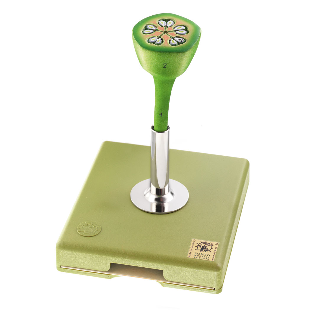 SOMSO® Apfelblüte-Fruchtknoten i. Querschnitt