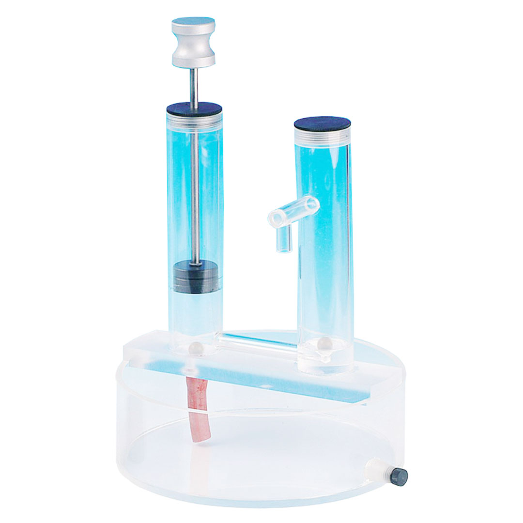 Druckpumpe, Acrylglas