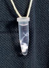 DNA-Gewinnung aus Wangenschleimhautzellen