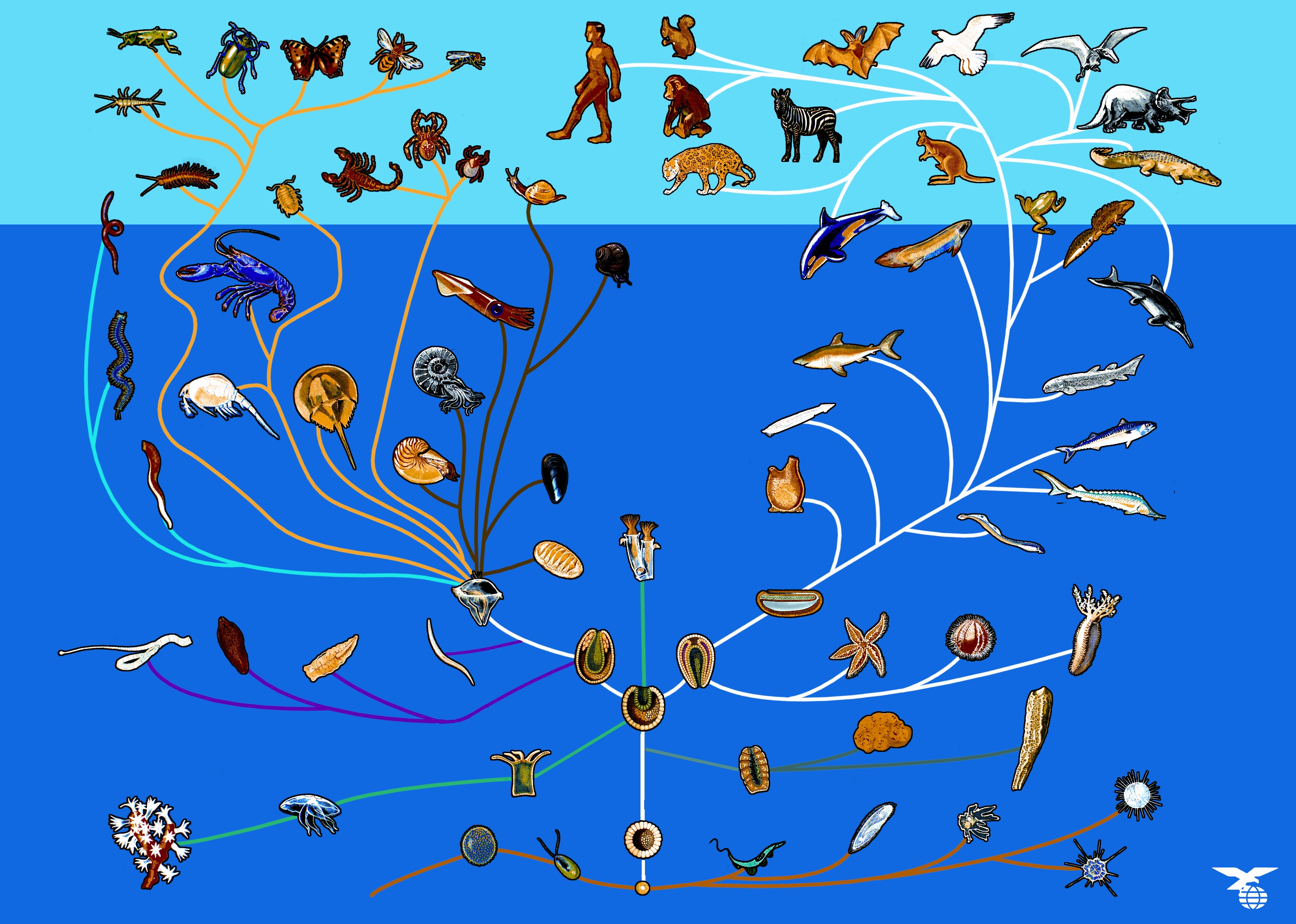 Stammbusch d.Tierreichs, kompletter Kit
