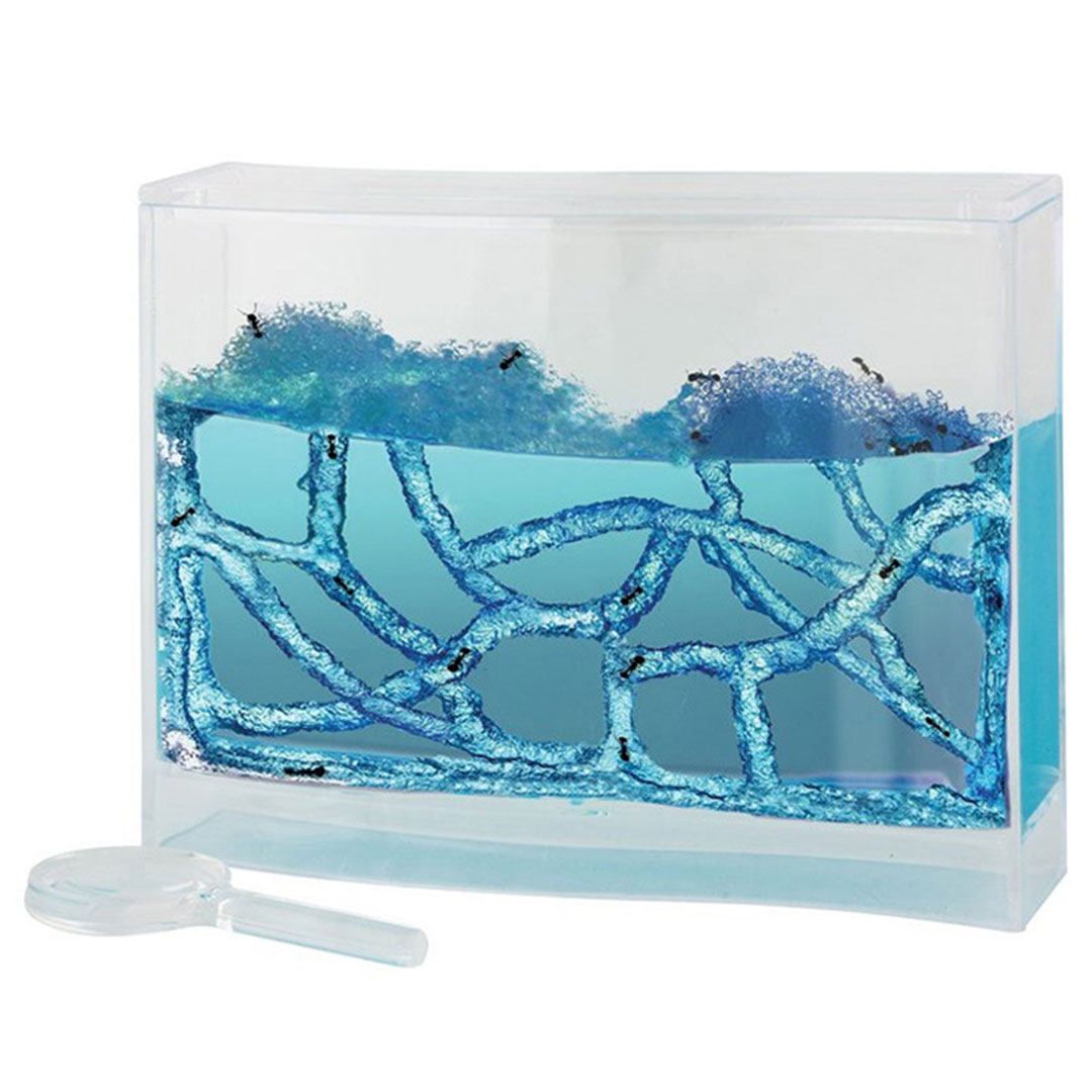 Ameisenbeobachtungs-Set