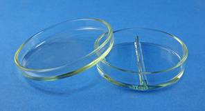 Petrischalen D=10cm, zweigeteilte Unterschale