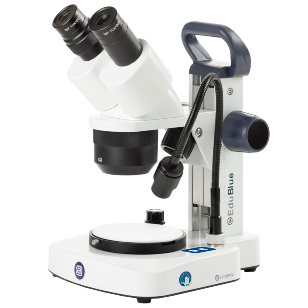 EUROMEX Mikroskop EduBlue ED.1402-EVO, binokular, 2x, 4x