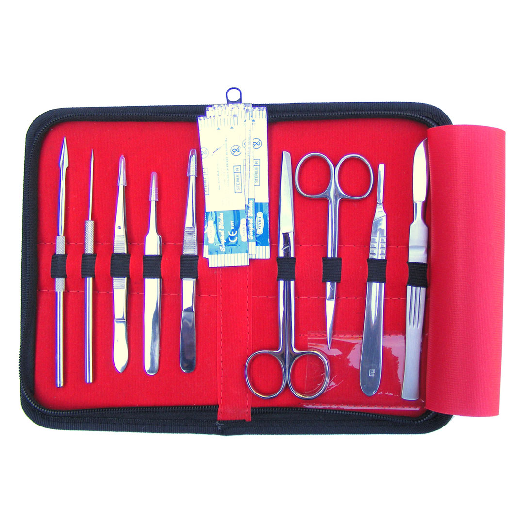 3B SCIENTIFIC Präparierbesteck 9-teilig, in Kunststoffetui