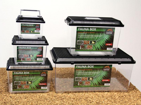 Terrarium (Faunabox) KS, 300x200x250mm Terrarium (Faunabox) KS, 300x200x250mm