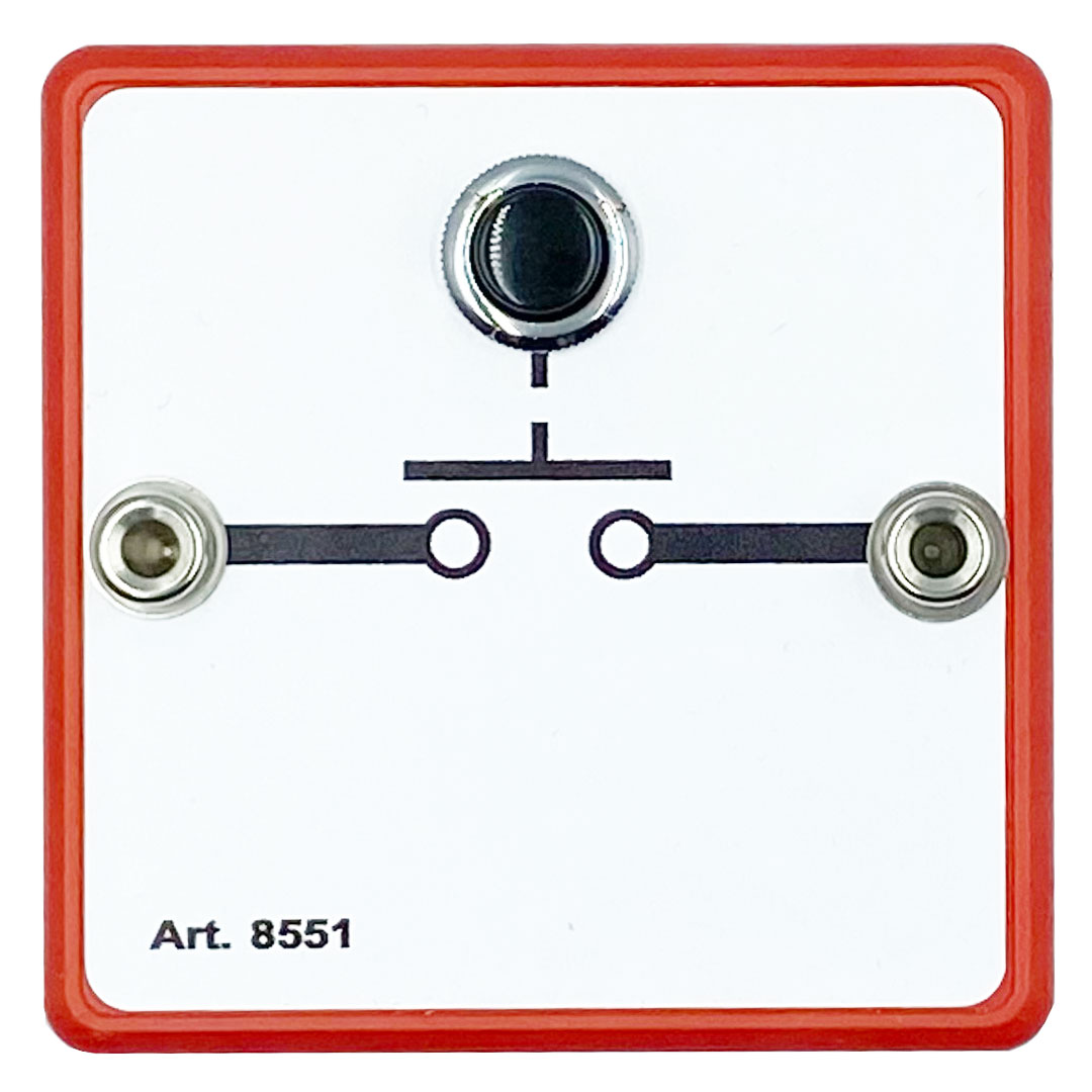 ELAR Impulstaster 1xS