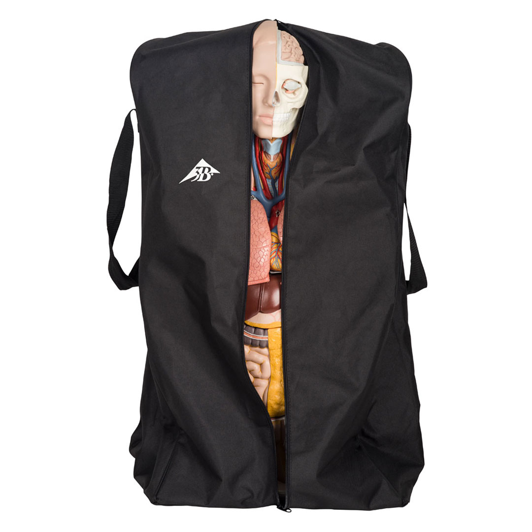 3B SCIENTIFIC Staubschutzhülle für Torso, W40104