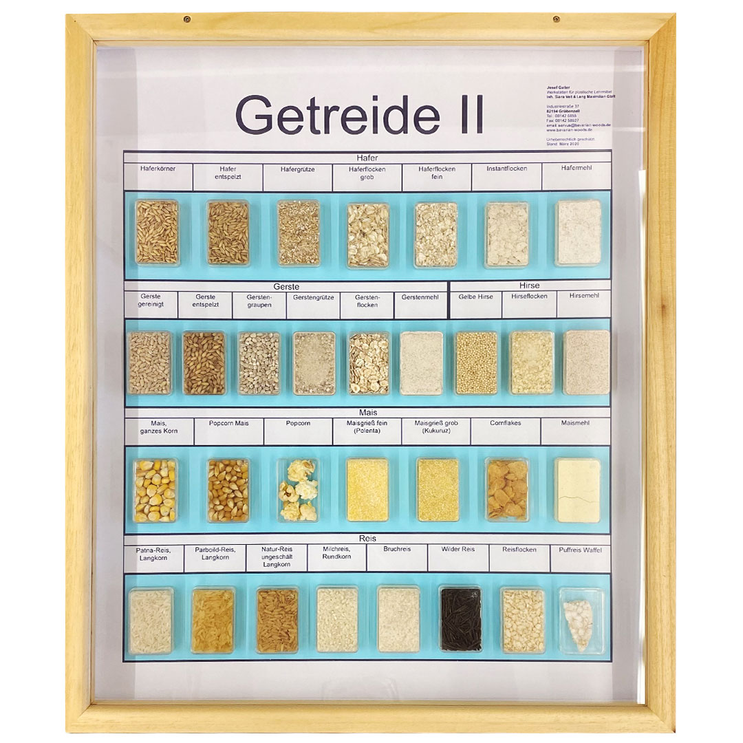 Schaukasten Getreide II, im Holzrahmen 50x60 cm