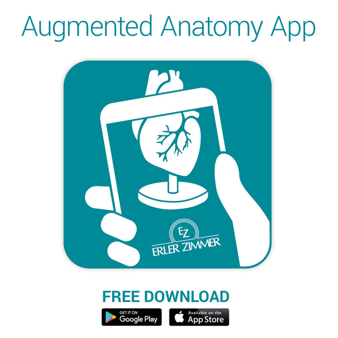 ERLER ZIMMER Ohrmodell, 3-fache Größe, 4 Teile - EZ Augmented Anatomy