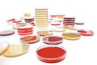 Nähragar, Fertigplatten TSA, LI, bestrahlt, Füllung 30ml, Harm Ph, 20Stk.