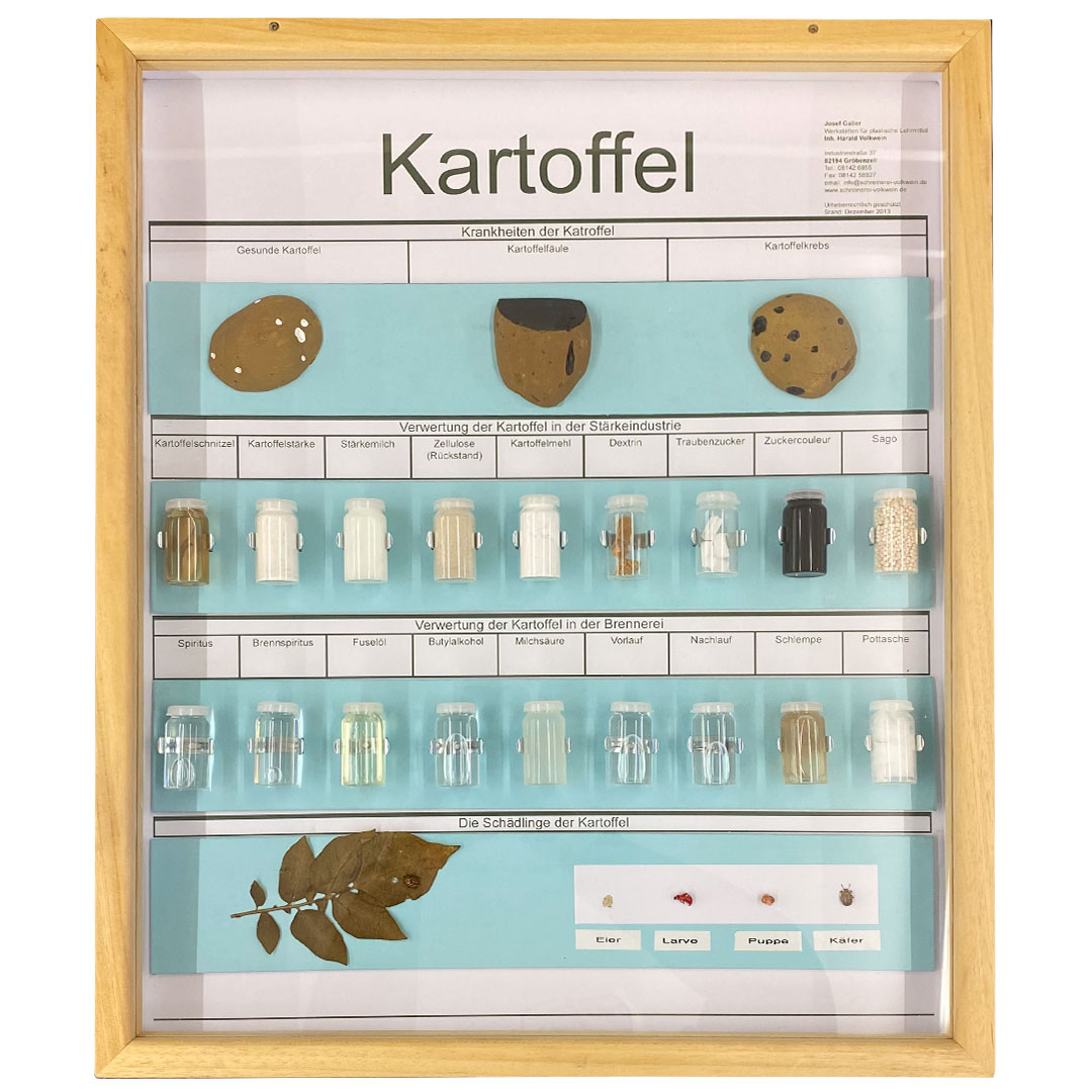 Schaukasten Kartoffeln, im Holzrahmen 50x60 cm