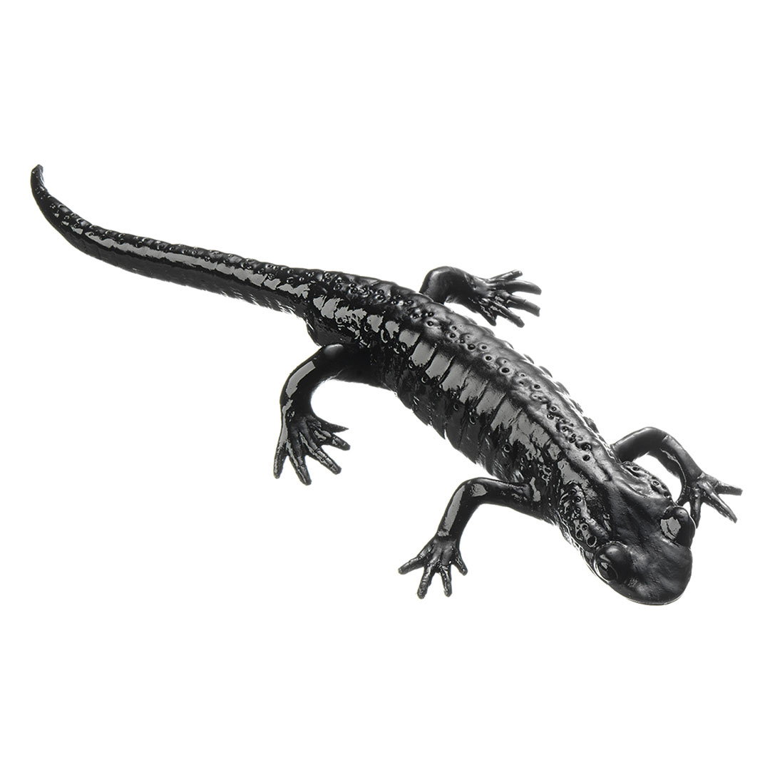 SOMSO® Alpensalamander