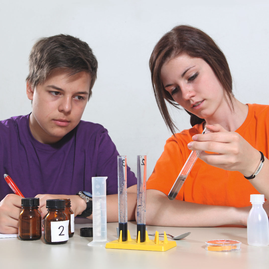 Pflanzen, Tiere und Lebensraum, Schüler-Set