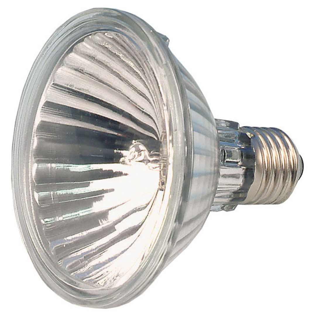 Halogenspot 100W