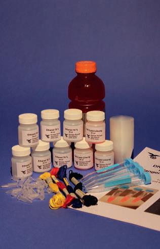 DNA-Gewinnung aus Wangenschleimhautzellen