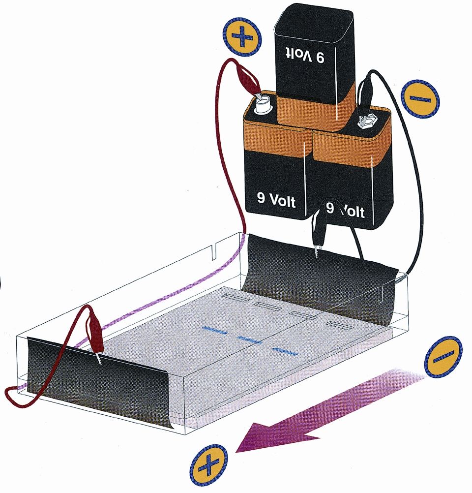Elektrophorese von Farbstoffen