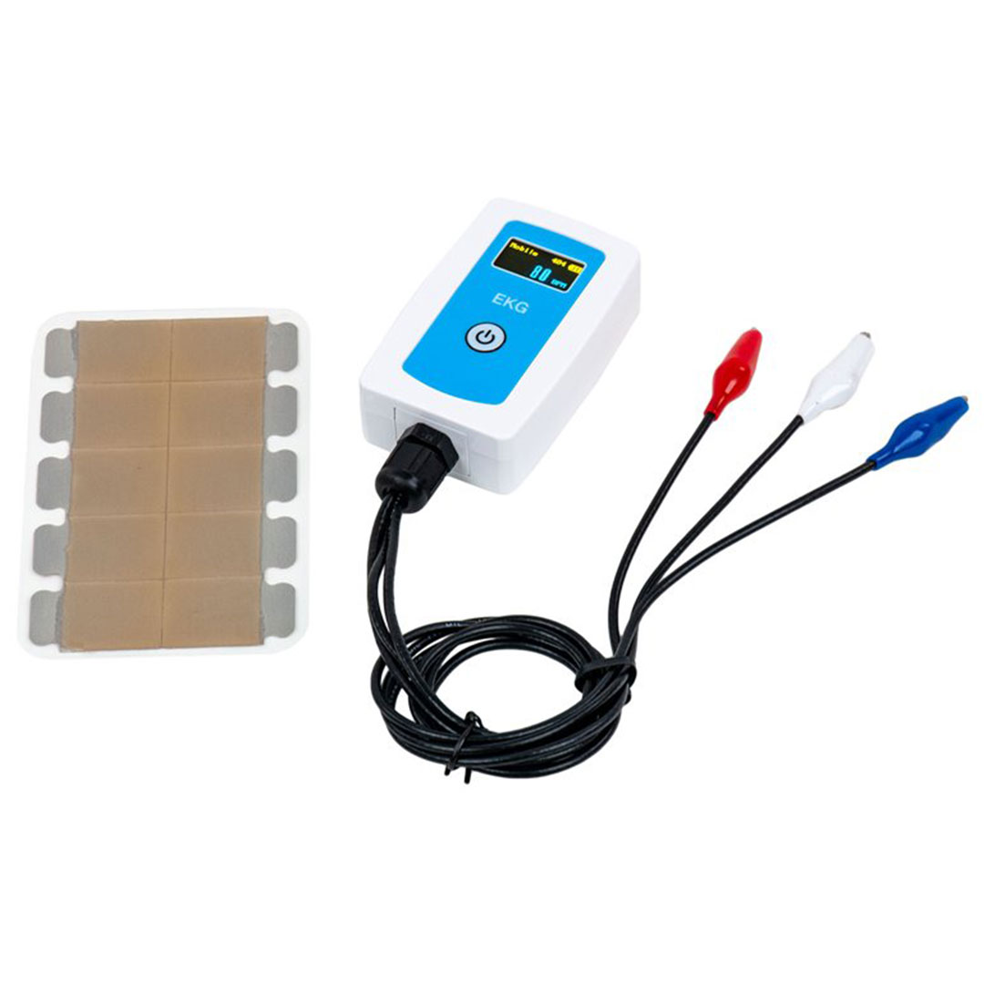 WLD Sensor, EKG (Herzrhythmus)