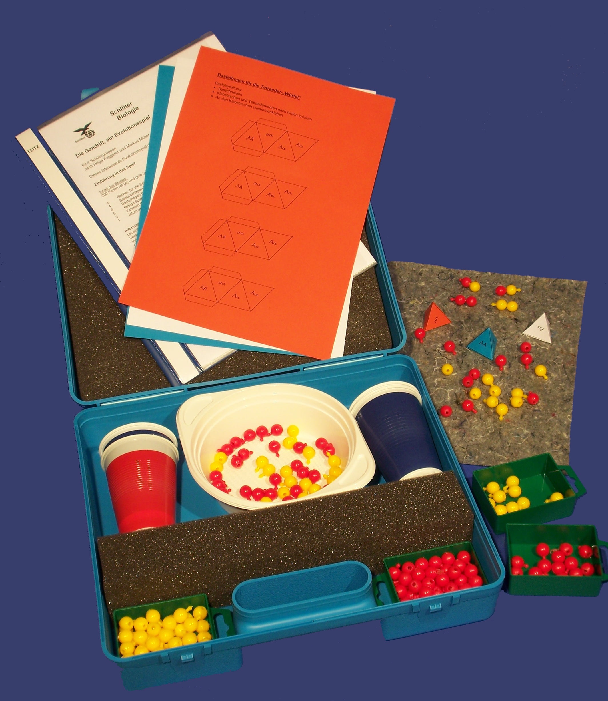 Die Gendrift, ein Evolutionsspiel