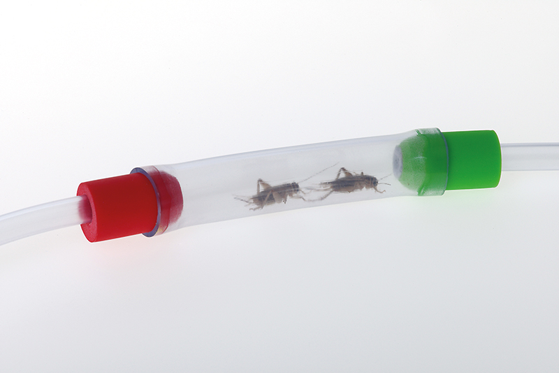 Käfer-Sauger, Sammelexhauster