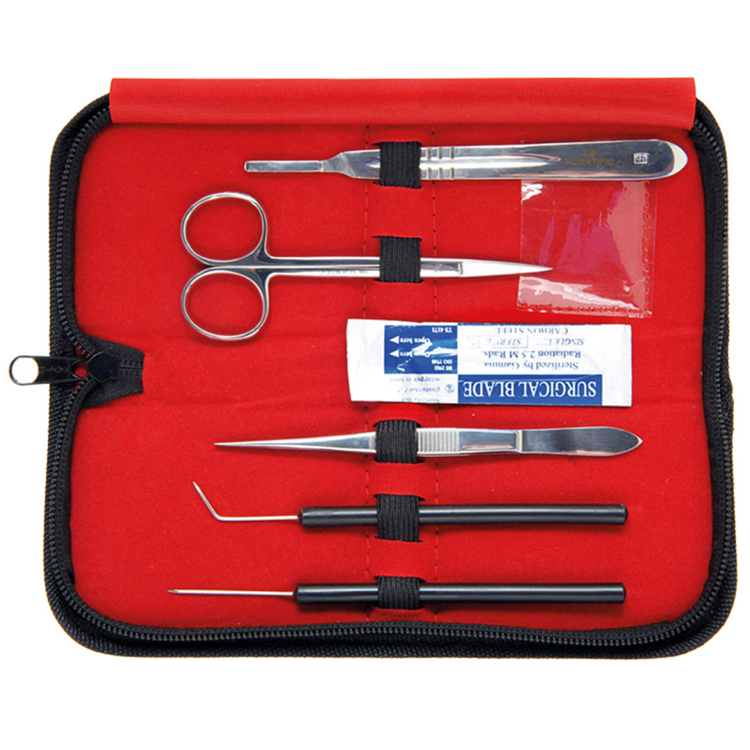 3B SCIENTIFIC Präparierbesteck 5-teilig, in Kunstlederetui