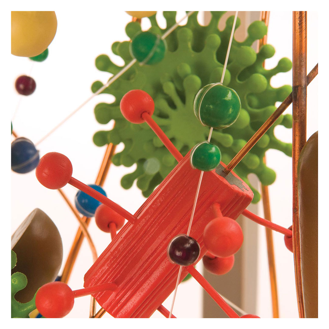 3B SCIENTIFIC Menschliche Zelle, 40'000x,  60x46x46 cm (VL650)