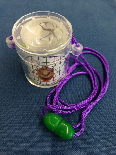 Lupe, Vergrösserungsd.z.Umhängen,36x38mm