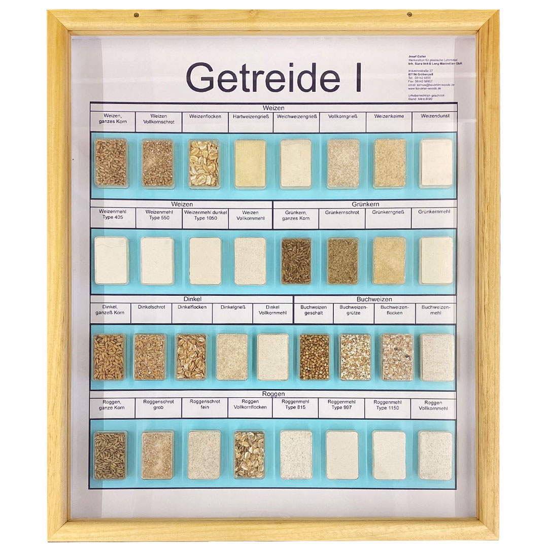 Schaukasten Getreide I, im Holzrahmen 50x60 cm