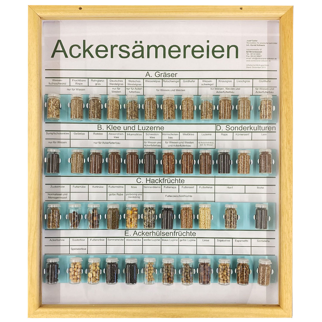 Schaukasten Ackersämereien, im Holzrahmen 50x60 cm