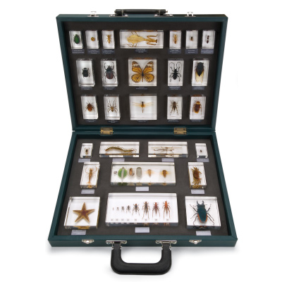 3B SCIENTIFIC Musterkoffer mit 27 versch.Einbettungen (W59550)