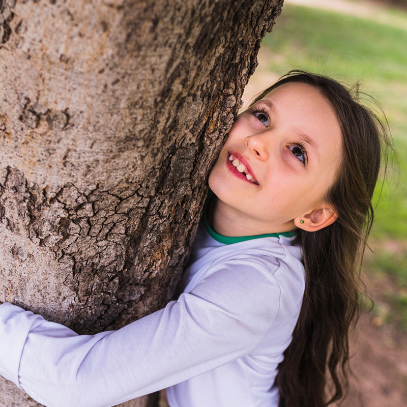 Klimawandel: "Wir schützen unser Klima" Projektkoffer 94-teilig